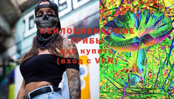 mix Белокуриха